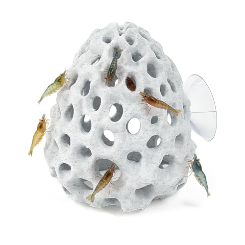 WANTOUTH Xiaohu-Sets