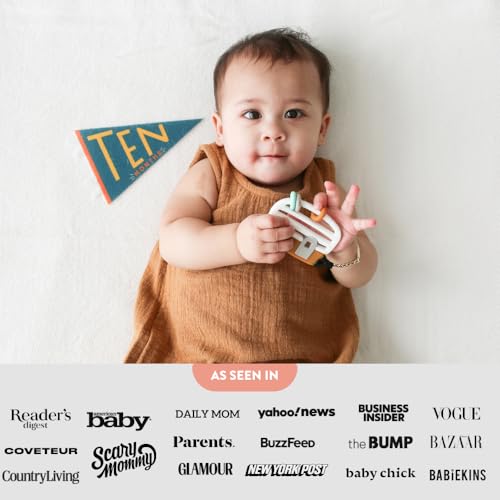 Lucy Darling Petit Milestone Pennants – Baby Monthly Milestone Pennant Flags – Newborn Photo Props & Felt Nursery Decor – Keepsake Banner Set for Baby Photos – Little Kaleidoscope