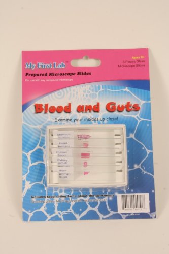 Microscope Prepared Slide Set - Blood & Guts (5 Slides)