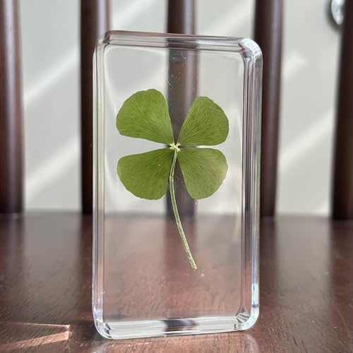 Lyntrique Real 4 Leaf Clover in Lucite Lucky Charm Desk & Shelf Decor Birthday Gifts for Women Anxiety Relief & Self Care Gifts Retirement Graduation & Thank You Keepsake