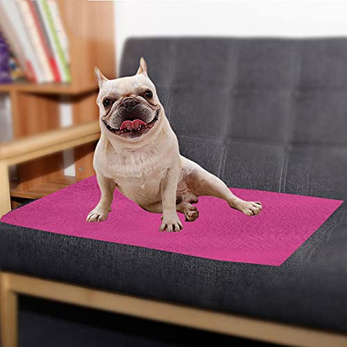 Image of Trance Waterproof Pet Training Pads | Reusable Pee Pad for Dogs Cats Puppy and Pets | Washable Pet Dry Sheet | Potty Trainer | Soft and Hypo-Allergenic (Large, Size 1.4 x 1 m | 140 x 100 Cms, Berry Pink)