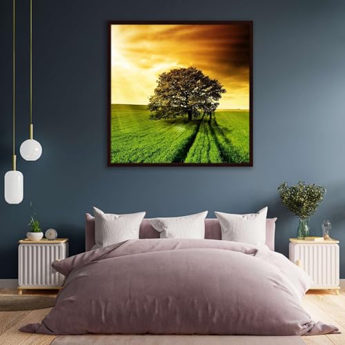 Image of ArtzFolio Lonely Tree | Canvas Painting for Bedroom & Living Room | Dark Brown Frame | 20 x 20 inch (51 x 51 cms)