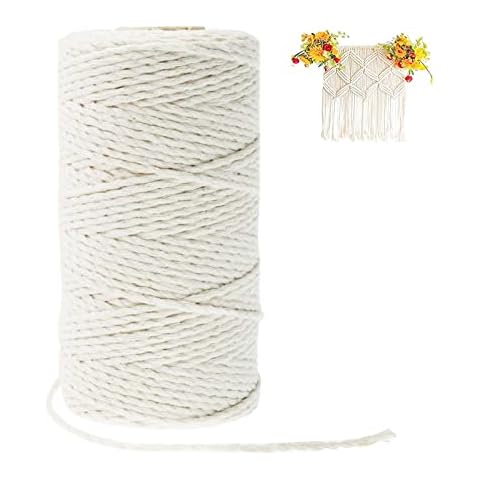 Jaspond 20 Colours Macrame Cord 2mm×100m, Cotton Cord String Rope, butchers string 2 Strand Twisted, Handmade Craft for Wall Hanging, Plant Hanger, Knitting, Textile Decoration Cover