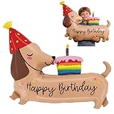 Palloncino in foil a forma di bassotto: riceverai un palloncino a forma di torta a forma di bassotto, riutilizzabile. Dopo l'uso, il gas all'interno del palloncino può essere rilasciato per una facile conservazione e riutilizzo.