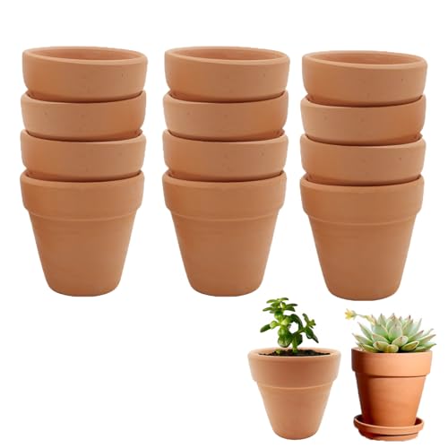 Molyorch 12 Pezzi Vasi in Terracotta,Vaso Terracotta in Argilla Rosso, Piante Terracotta Piccolo Vaso, Argilla Set Vaso, per Ufficio Decorativo, Matrimonio Compleanno Casa (6,5 x 6cm)