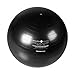 Trimax Sports WTE10004BL Zenzation Athletics 65cm/26 Exercise Ball (Black) (Trimax SportsWTE10004BL)