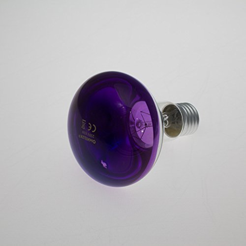 Showking - Lampe colorée R80 230 V/60 W pour éclairage de fête - culot à vis ES/E-27, couleur violette Cover