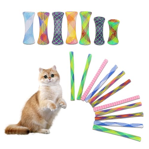 Interaktives Katzenspielzeug & Laserpointer - Spaß und Aktives Spiel für Ihre Katze, Katzenspielzeug Spirale und Wasserspielzeug, Perfekt für die...