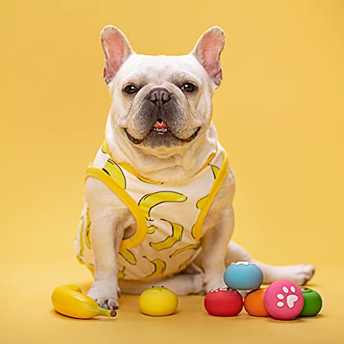 Pawdoer Squeaky Dog Toys - Soft Latex Rubber Squeaky Dog Ball For Small Dogs Puppies - Bounce Dog Squeak Toys Balls With Funny Cute Face #TOP5