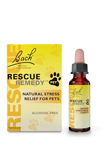 digestive remedies for dogs