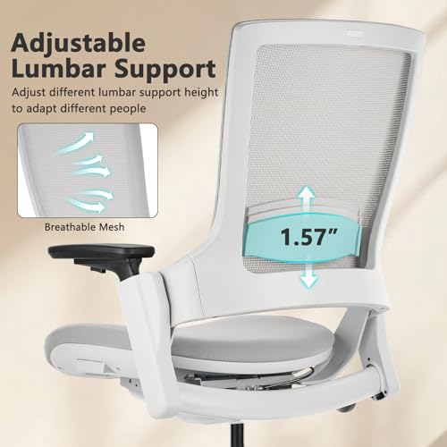 Image of CLATINA Office Chair Swivel Executive Chair, Adjustable Ergonomic Computer Chair with 3D Armrest and Lumbar Support, Mesh Backrest Task Chair for Home Office Conference Room Grey