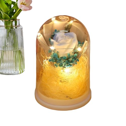 Genérico preservado de – cúpula de ramo de rosas eternas, infinito de larga duración con luz LED para mamá, mujer, abuela, esposa, hija, novia, San Valentín, cumpleaños, N