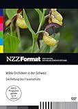 wilder frauenschuh  Wilde Orchideen in der Schweiz - Die Rettung des Frauenschuhs