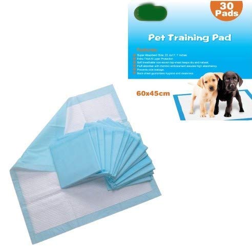 Tapis de toilette pour chien : évitez les fuites et sols mouillés