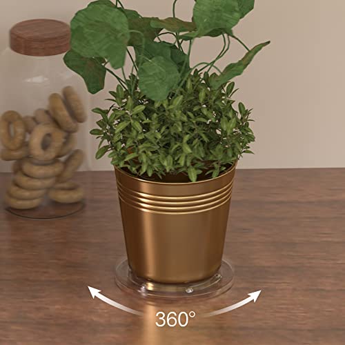 Image of 6 Inch Lazy Susan Turntable Organizer - Rotating Tray Swivel Stand with Steel Ball Bearings for Cake, Kitchen Cabinets, Monitor, TV, Painting, Display (30lb Capacity /Clear Acrylic)