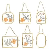 6 Modèles distincts: Vous recevrez 6 cadres photo suspendus en verre, disponibles en 6 styles différents, Cette variété offre des options d'affichage polyvalentes pour différents espaces et besoins décoratifs. Veuillez vérifier les informations de taille sur la page de détails du produit avant l'achat.