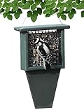 Songbird Essentials Tail Prop Suet Feeder - Recycled Plastic Bird Feeder with Coated Wire Cage for Bird Seed Cakes - Hunter Green