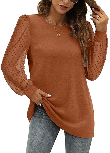 Wiholl Clothes For Women 2024 Fall Thanksgiving Outfits Fashion Tunic Tops Sheer Long Sleeve Caramel M thumb #3
