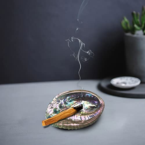 3 Pcs Abalone Shell Smudge Bowl 3.5-4.5 Inch Abalone Shell For Smudging Bulk Wholesale Incense Burner For White Sage Smudge Sticks #TOP4