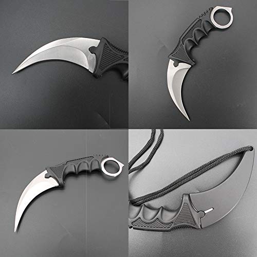 Wetop Karambit Knife, Cs-Go For Hunting Camping Fishing And Field Survival, Stainless Steel Fixed Blade Tactical Knife With Sheath And Cord (Silver). #TOP6