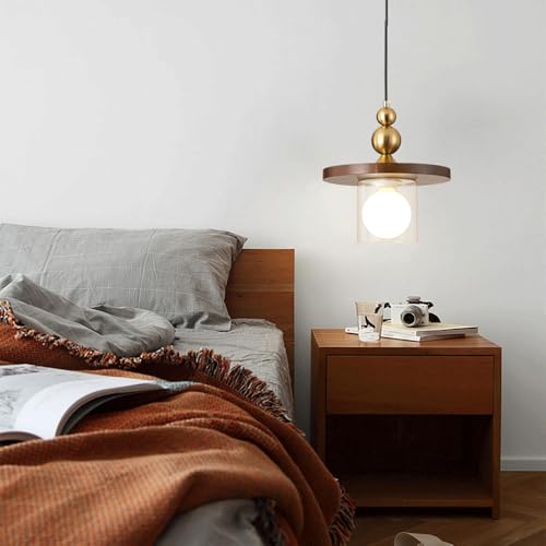 Lámpara colgante vintage para iluminar comedores oscuros con estilo 3