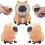 Capybara | L/S/S