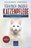 chat angora turc roux  Türkisch Angora Katzenpflege – Pflege, Ernährung und häufige Krankheiten rund um Deine Türkisch Angora: Ein Ratgeber für Türkisch Angora Halter