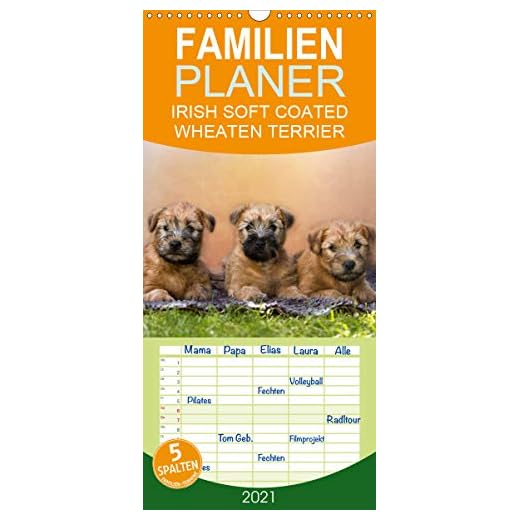 IRISH SOFT COATED WHEATEN TERRIER - Familienplaner hoch (Wandkalender 2021 , 21 cm x 45 cm, hoch): Mit den blonden Iren durch's Jahr... (Monatskalender, 14 Seiten )