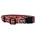 Pets First NHL Detroit RED Wings Collar for Dogs & Cats, Large. - Adjustable, Cute & Stylish! The Ultimate Hockey Fan Collar!