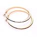 Crystal Hoop Earrings for Women Large Dazzling Rainbow Rhinestone Circle Fashion Earrings Sensitive Ears Pierced Earrings (Gold Rainbow)