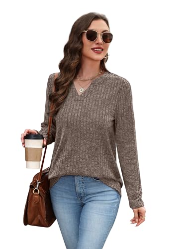 SAMPEEL Womens Tops Long Sleeve V Neck Pullover Fall Sweater Loose Fit Tunic Shirts Fashion Outfits 20253