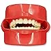 Dental Phantom Head Model with 28 Pieces Practise Teeth Teaching Model