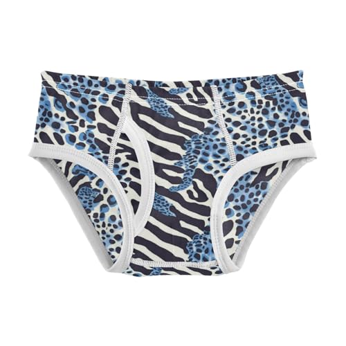 Wusikd Zebra Stripes Boys' Underwear Cotton Blue Leopard Spots Boys Briefs Soft Toddler Underwear 2T