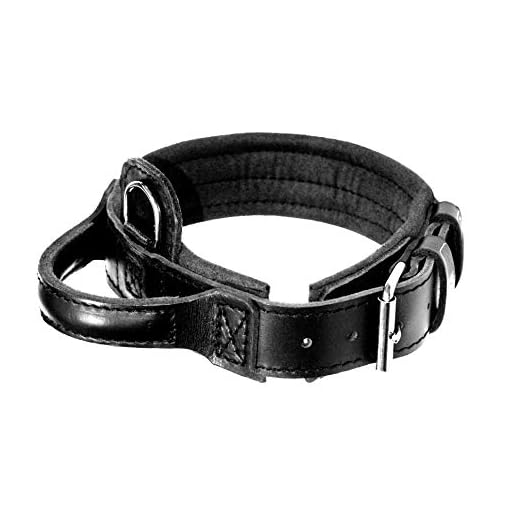 Dingo Gear Drago Leather Dog Collar