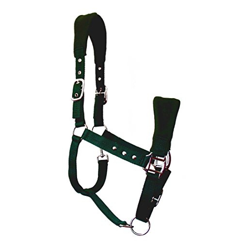 JF-Reitsport Nylon-Halfter weich unterlegt 3-Fach verstellbar Grün Full Cover