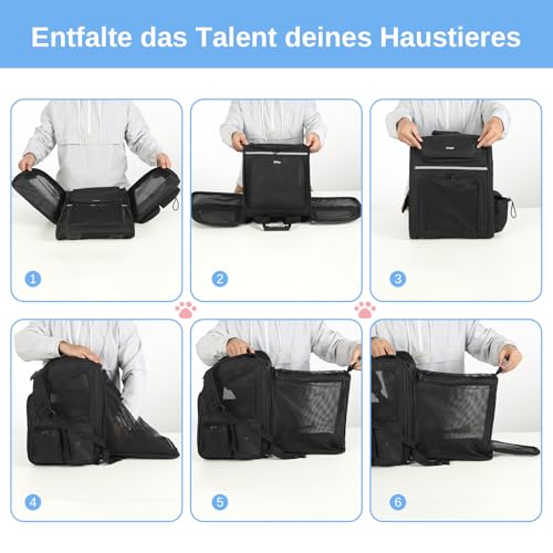 Dogat Erweiterbar Katzenrucksack mit Netzfenster, Tragbare und Faltbare Haustier Rucksack mit Innerer Sicherheitsleine und Haustierunterlage für Katzen Hunde bis 17 lbs (8 kg) Wandern, Walken(Schwarz)