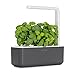 Click and Grow Smart Garden 3 Indoor Herb Garden (Includes 3 Basil Plant Pods), dunkelgrau