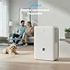 MIDEA Déshumidificateur d air Anti Moisissure intérieur 50 L/Jour | Réservoir amovible 6L, APP/Wifi, Mode Confort, Minuterie 24H | Déshumidificateur industriel de grande capacité jusqu’à 120m²/300 m³