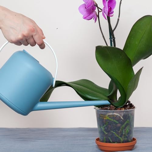 GOTVUGE Orchideen-Pflanzsubstrat 1L, bestehend aus Orchideenrinde und Perlit, ideal für Einpflanzen, Umtopfen, Gute Drainage, Luftzirkulation und Wurzelbelüftung