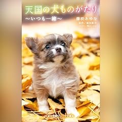 天国の犬ものがたり～いつも一緒～ 小学館ジュニア文庫 Audiobook By 藤咲 あゆな, 堀田 敦子 cover art