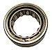 SKF R1563 Cylindrical Roller Bearings