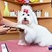Yaheetech Hundepflegetisch, Trimmtisch für Hunde, Hundefriseur Tisch, Hunde Badetisch, Pudel Fellpflege, Hund Schertisch, höhenverstellbar, rutschfest, bis 100 KG belastbar Rosa Rosa