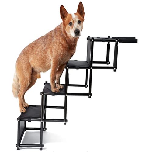 Willonin Rampa para Perros Plegable, Escalera de Perro para Ayudar en la Entrada y Salida del Coche.hasta 75 kg, escaleras Plegables para Perros Apto para Todos los vehículos