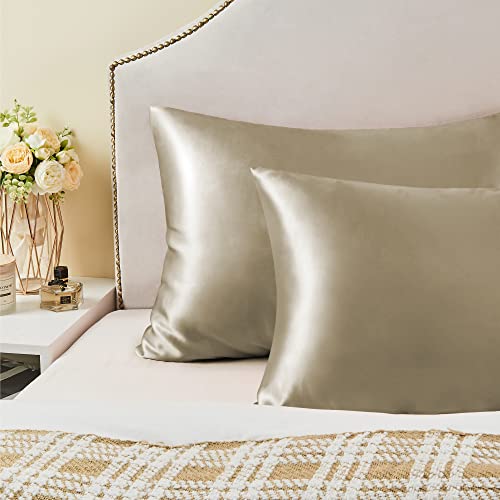 BEDELITE Satin Pillowcase with Zipper 2 Pack, Taupe Pillow Cases Standard Size, Super Soft and Cooling Similar to Silk Pillow Cases, Gift for Women Men(20x26 Inches)