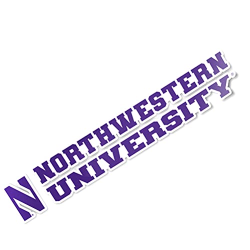 Desert Cactus Northwestern University Wildcats Name Logo Vinyl Decal Laptop Water Bottle Car Scrapbook (8 Inch Sticker)