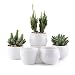 T4U 2.5/2.75/2.75 Inch Ceramic White Collection NO.31 succulent Plant Pot/Cactus Plant Pot Flower Pot/Container/Planter Package 1 Pack of 6