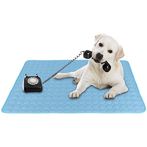 Pannow - Tappetino Auto rinfrescante per Cane, cucce, lettini, cucce, cucce, cucce, cucce, cucce, cucce, Letti, da Viaggio, Divano, seggiolino Auto