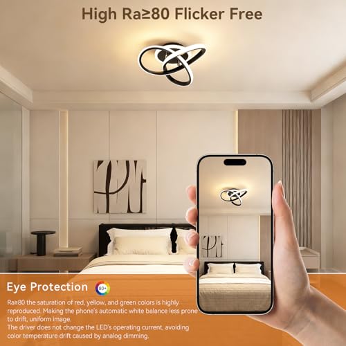MELAYR LED Deckenleuchte Moderne 21W, 3000K/4500K/6500K Deckenlampe LED 2100lm CRI≥80, Ceiling Light für Wohnzimmer, Schlafzimmer, Büro, Küche und Flur mit Memory Funktion Schwarz