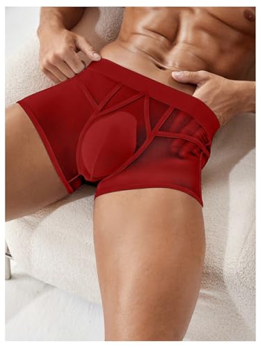 OYOANGLE Men's Mesh Sheer Mid Rise Boxer Briefs Solid Comfy Soft Trunks Underwear4