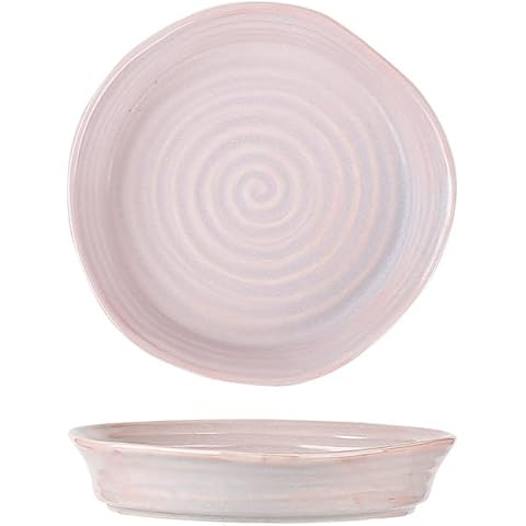 Ynsfree Ceramic Plates 8 inch Small Dish Irregular Dinnerware Sets of 2 for Steak,Pasta,Dessert,Salad,Appetizer, Microwave,Oven,and Dishwasher Safe,Scratch Resistant. Cover